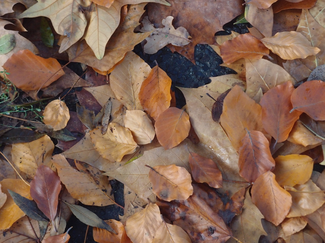 003 2015-11-10 durch die Stadt (Dat Tape 2)